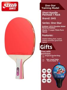 DHS | Childrens Beginner Training Table Tennis Set