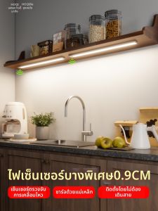 HUOQI | Induction Rechargeable Adhesive Magnet Strip LED Light