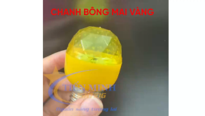 Combo 5 bóng đèn led chanh bông mai vàng 5W (không hộp) đui E27 dễ lắp đặt thay thế đèn trang trí