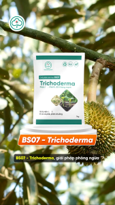 Nấm Đối Kháng Trichoderma BS07 1kg - Diệt Nấm Cải Tạo Đất Kích Ra Rễ - Bác Sĩ Cây Xanh