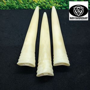 pipa once cangklong tulang iga Dy model taring spesial A411