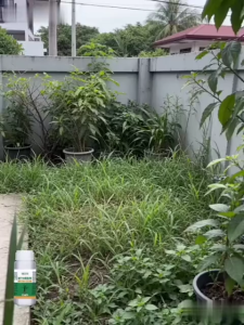 Tree Killer Herbicide Grass Killer Powerful Concentrated Formula Removes Bamboo Large Trees Easily