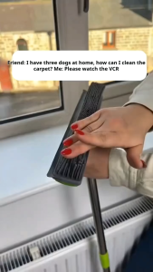 Long Handle Pet Fur Removal Broom Hair Lint Removal Telescopic Bristles Magic Clean Sweeper Petibo Pet Broom