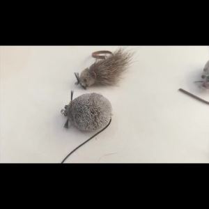 Deer Hair Mouse Fly Topwater Lure Poppers Artificial Rat Fish Bait Mouse Deerhair Bass Bug For Largemouth Pike Fishing Lure Bait
