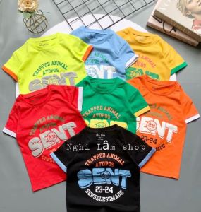 Áo thun bé trai ngắn tay chất liệu thun cotton 100% co giản 4 chiều in chữ SENT cho bé từ 10-36 kg