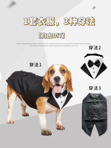 Wedding Dress up Pet Vest with Bow Tie for Small Medium Large Dogs Teddy British Style Dog Clothes Celebration Outfits
