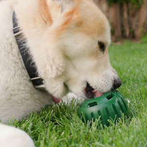 HATELI Dog Slow Feeder Ball Long Lasting Interactive Toy to Keep Your Puppy Distracted Safe for Dogs  Low Mess Design Dog Food Leakage Silicone Dog Chew Toy
