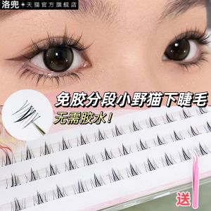 Natural Look Cat Eyelashes 10 Rows Segmented Easy to Use Thick Transparent Stem C Curl Suitable for All Skin Types Long Lasting