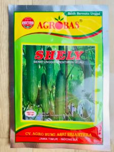 Benih Unggul Mentimun Hijau SHELY 25 gram dari Agrobas mantap