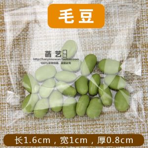 Simulation Bean Model Pea Soybean Corn Food Props Display Models Grains And Legumes Toys for Children Educational Play Food
