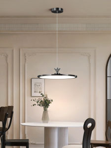Aiskdan | Modern Minimalist Nordic Pendant Light