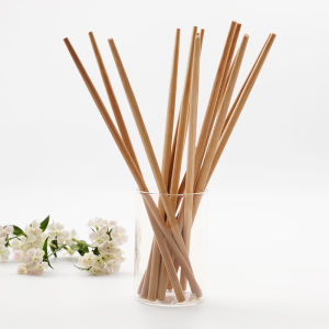 Tableware Sugarcane Pulp Degradable Picnic Dish Bowls and Chopsticks