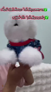 เสื้อยืด น้องหมา น้องแมว เสื้อเทศกาลปีใหม่ คริสต์มาส เทศกาลต่างๆ