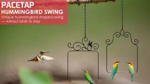 PACETAP Hummingbird Swings & Perches: A Comprehensive Guide