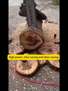 Plug-in 12 Inch Electric Chainsaw - Wood Cutting for Orchard Garden Home Tree Trimming