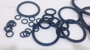 Supply APA/COP/OPA/10*5.4*1.7 C Ring Double O Type Two-way Piston Seal Ring NBR