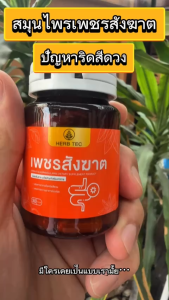 HERB TEC เพชรสังฆาต ริดสีดวง ติ่งยื่น ท้องผูก ขับถ่าย ริดสี 30 แคปซูล Hemorrhoids