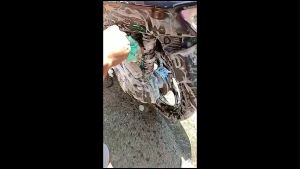 C21 sikat cuci motor & mobil wheel brush velg spon cuci motor mobil