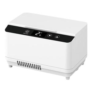 CHETAILANG | Portable Mini Refrigerator for Insulin