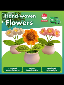 Handwoven Crochet Flowers in Mini Pots Handmade Desktop Decor Cute & Creative Gift for Home & Office