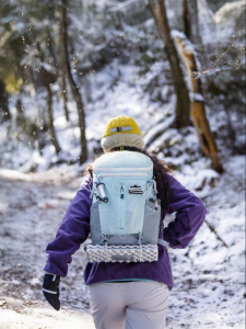 NatureHike | Ultra Light Outdoor Hiking Backpack 20L
