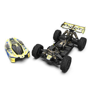 RLAARLO | Professional RC 4WD Race Car