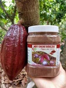 Bột Cacao nguyên chất Daklak hũ 500G