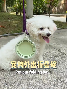 Mangkuk Lipat Hewan Peliharaan Portabel Mangkuk Silikon Anjing Kucing Mangkuk hewan peliharaan warna macaron