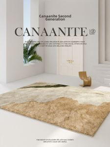 AOVOC | Living and Bedroom Minimalist Modern Thick Carpet