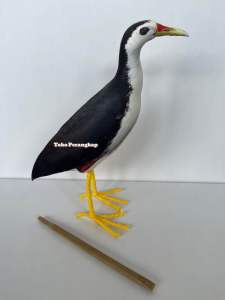 Patung Burung Ruak Ruak Kareo Padi - Jontrot Ruakruak