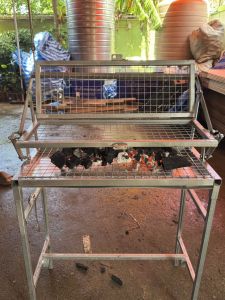 เตาปิ้งย่างบาร์บีคิว หมู ไก่แบบพกพาสะดวกประกอบง่าย