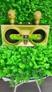 Loa Karaoke xách tay mini YS-206 Có 2 Micro Không Dây Loa Karaoke YS-206 Có 2 Micro Không Dây Hỗ Trợ USB Thẻ Nhớ Loa Ys 206 giá rẻ Tháng 72023