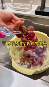 Heavy Duty Stainless Steel Kitchen Scissors Magnetic Chicken Bone Cutter Anti-Slip Gunting Dapur