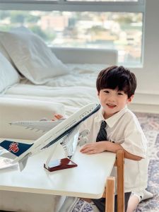 Mô Hình Máy Bay Dân Dụng C919 Bộ Lốp 20cm