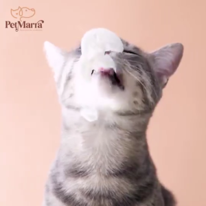 80g PetMarra Cat All Breeds Yoghurt Souffles All Stages Adult Kitten Wet Food Pouch Pet Essentials