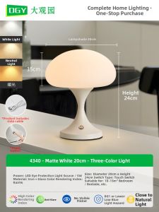 DGY | Nordic Style Luxury Decorative Light