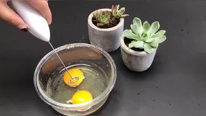 MIXER PEMBUIH KOPI SUSU ELEKTRIK HANDLE STIRRER WHISK MILK FROTHER