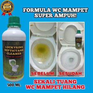 FORMULA WC MAMPET TANPA BONGKAR