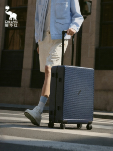 Oiwas | Silent Large Capacity Password Lock Luggage