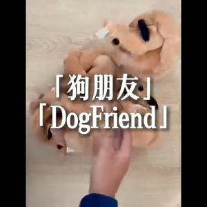 ยาวดัชชุนสุนัขของเล่นตุ๊กตามีเสียงตุ๊กตาสุนัขของขวัญให้หลอก