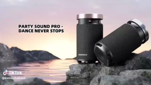 KENOZ I ลำโพง คุณภาพเสียงดี เบสแรง กำลังขับ 100 วัตต์ พร้อมไมค์ไร้สาย 2 ตัว ประกันศูนย์ 1 ปี byfullbright