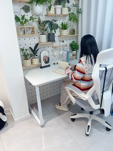 XUXU Computer Desk Office Desk Study Desk Game Table Student Adult Study Desk Thickened Plate Waterproof Corrosion-Resistant And Wear-Resistant