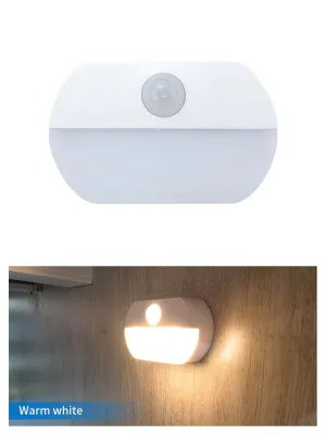 1pc Motion Sensor Night Light AAA Battery Powered Lamp Cabinet Kitchen Lights Wall Stair Closet Aisle Bedroom Night Lamp
