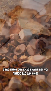 Nhũ hương 100g (Nhựa cây nhũ hương làm tinh dầu xông phòng) - Lãn Ông
