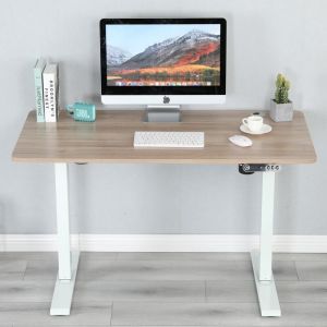 BilBil 48 inches 1.2M Electric Standing Desk Single Motor Desk Height Adjustable Stand Desk Laptop Table Adjustable Desk 120cm With Wheels