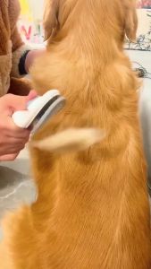 Clean Slicker Brush Pet Dog Comb Brush Cat Comb Grooming Cleaning Comb Hair Fur Shedding Tool