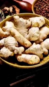 Kunyit Putih Segar 1kg – Temu Putih Organik Asli – Curcuma Zedoaria – Rempah Jamu & Herbal Alami