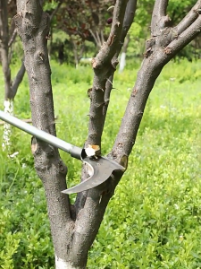 Daywalker 2-in-1 Sickle with Long Handle Multifunctional Double Chopping Sickle Gardening Tool Manganese Steel Sickle for Farmer Harvesting Straw Chopping Wood Cutting Trees 40/60/100CM