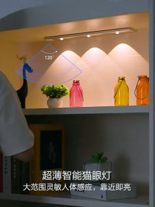 Motion Sensor Light 3 Color Dimmable Cat Eye Light Strip LED USB Rechargeable Kitchen Cabinet Wardrobe Lamp 30/40/60cm