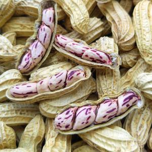 Dried and Salty Colorful Peanuts With Shell